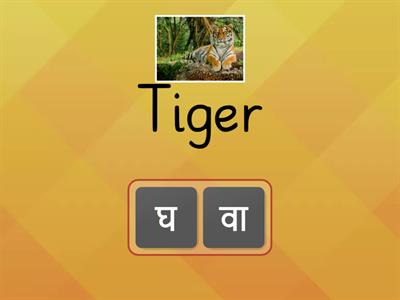 Anagram Wild Animal Cards Marathi_1