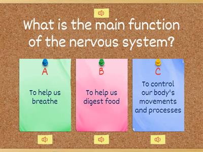 Understanding the Nervous System