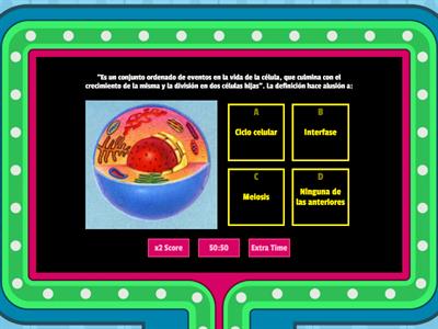 Ciclo celular: mitosis