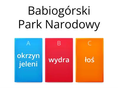Parki Narodowe i ich symbole 