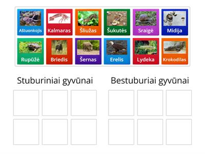 Stuburiniai ir bestuburiai gyvūnai