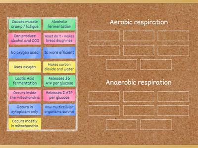 Aerobic vs Anaerobic Respiration