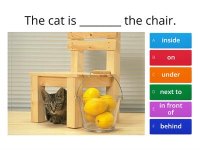 Cat and Dog Prepositions 