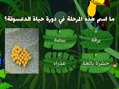  مراجعة دورات حياة الكائنات الحية