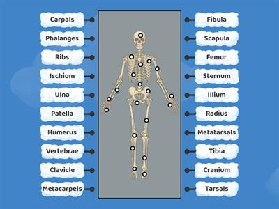 Wordwall Quiz - موارد تعليمية