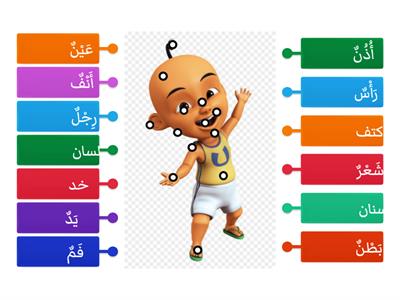 Bahasa Arab ( 13 anggota badan )