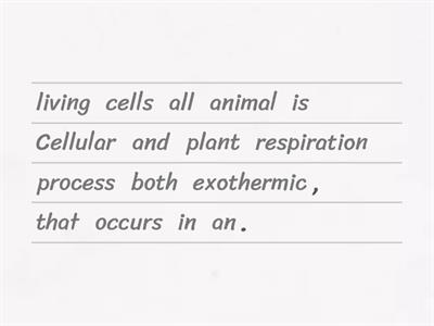 Respiration KS4