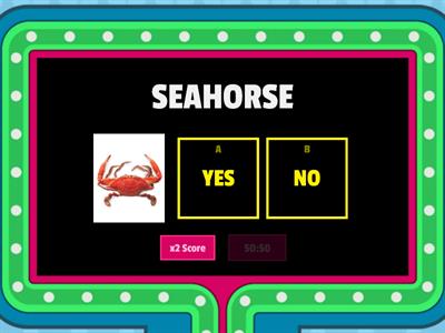YES/NO OCEAN ANIMALS (English Language Learners)