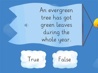 True or false: Deciduous and evergreen trees.