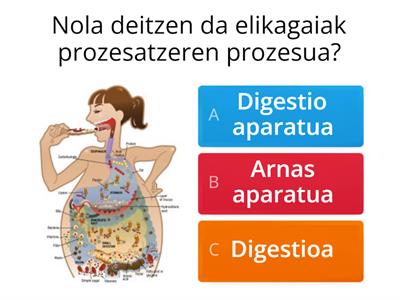 DIGESTIO APARATUA