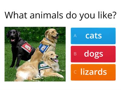 What animals do you like ?