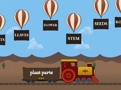  Plant Needs and Parts of a Plant