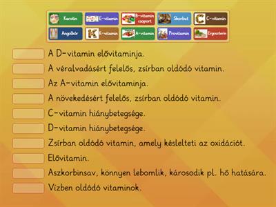 Vitaminok és jellemzőik
