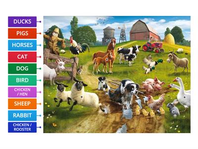 CAN YOU SPOT ALL THE FARM ANIMALS?