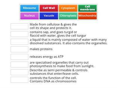 CAX KS4. Animal and plant cells functions