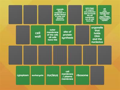 Cell Organelles- matching memory