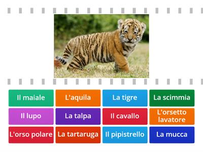 Vocabolario - Animali