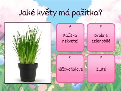 Velký pěstitelský kvíz