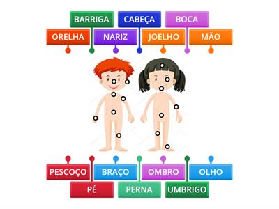 Legendar Partes Do Corpo Humano - Recursos De Ensino