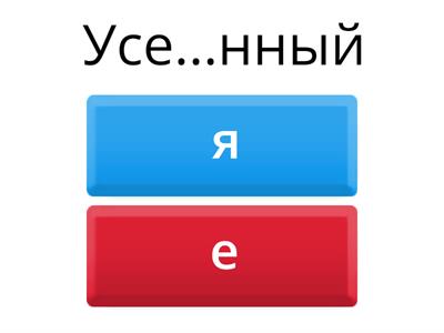 Какая гласная пишется на месте пропуска?﻿