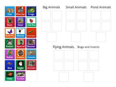 Grade 1 Animal Groups