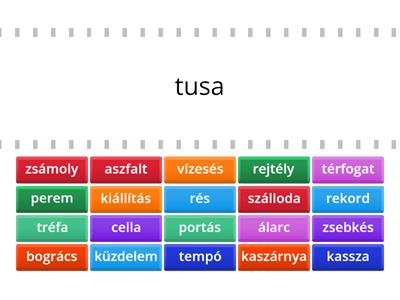 Szókincsbővítés-Adorján K. Gyakorlóanyaga alapján