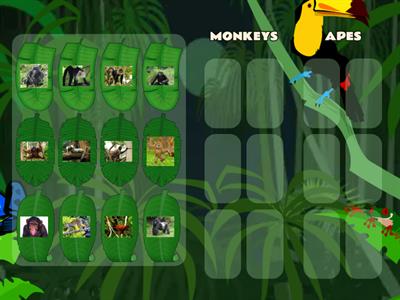 MJWJ Episode 11 monkeys and apes