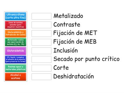 Técnica histológica para MET y MEB