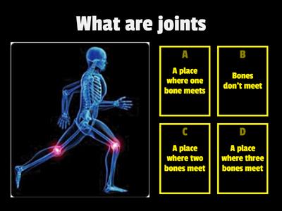 Joints in our body