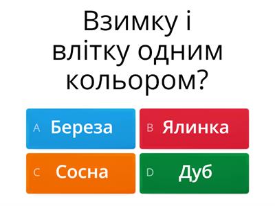 Зима