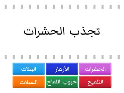 تعزيز درس الأزهار