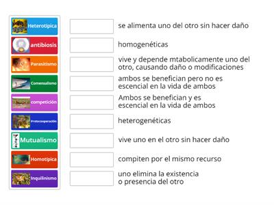 Terminologia 