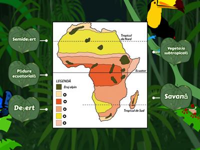 Zonele biogeografice ale Africii