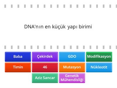 DNA VE GENETİK KOD