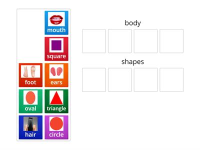 body and shapes vocabulary