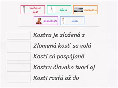 Kostra opakovanie