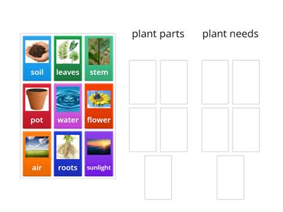 Plant needs and parts