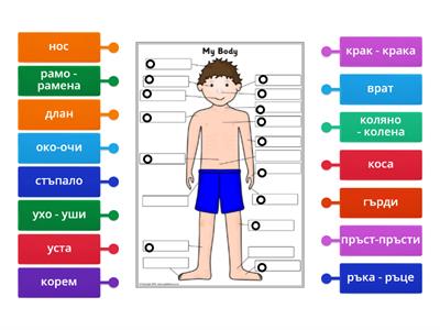 Части на тялото