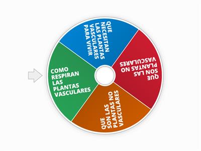 COMO RESPIRAN LAS PLANTAS VASCULARES