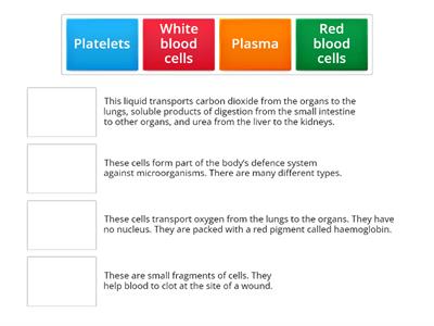 Components of the blood