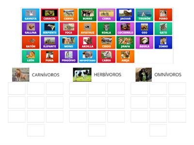 ANIMALES CARNÍVOROS, HERBÍVOROS Y OMNÍVOROS