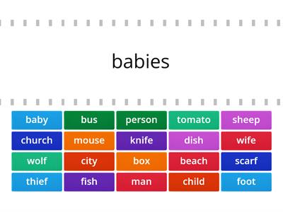 singular and plural noun(regular)