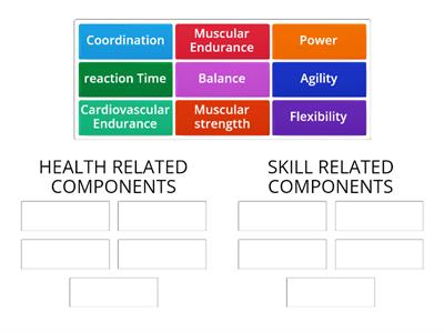 Physical Fitness Components