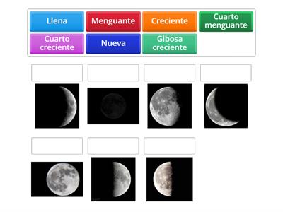 Fases de la luna
