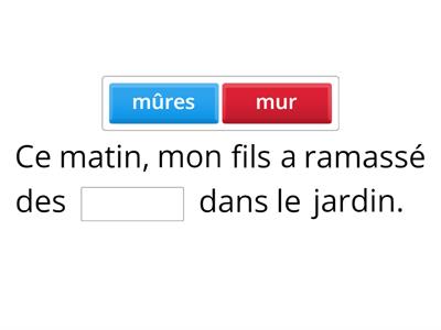 Dictée homonyme - Mur ou mûre?