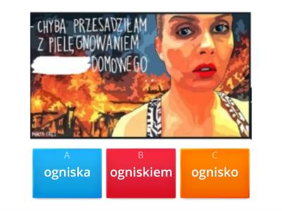 Język polski dla obcokrajowców z memami Marty Frej na dzień kobiet
