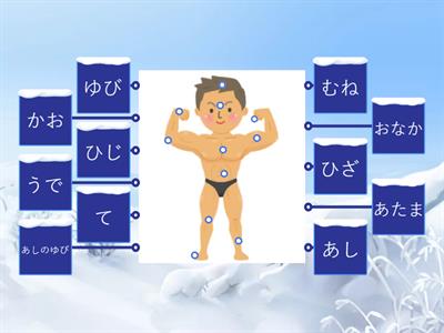 AIJ1 Ch 6.1 Human Body in Japanese (front)