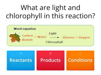 Photosynthesis and limiting factors