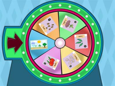 K Plant life cycle Wheel (Unit 3-P4)