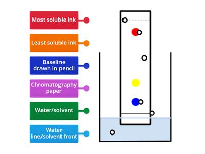 Labelling Paper chromatography